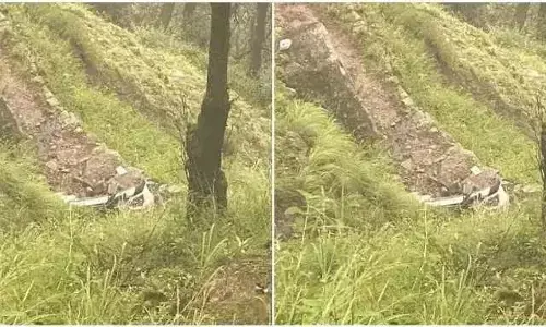 उत्तराखंड में दर्दनाक हादसा, अनियंत्रित होकर खाई में गिरी ऑल्टो कार , दो लोगों की मौत उत्तराखंड में दर्दनाक हादसा, अनियंत्रित होकर खाई में गिरी ऑल्टो कार , दो लोगों की मौत