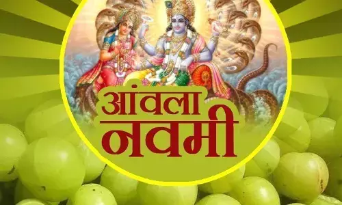 आंवला नवमी कब है? जानिए शुभ मुहूर्त, और इस दिन क्या करें और क्या नहीं आंवला नवमी कब है? जानिए शुभ मुहूर्त, और इस दिन क्या करें और क्या नहीं