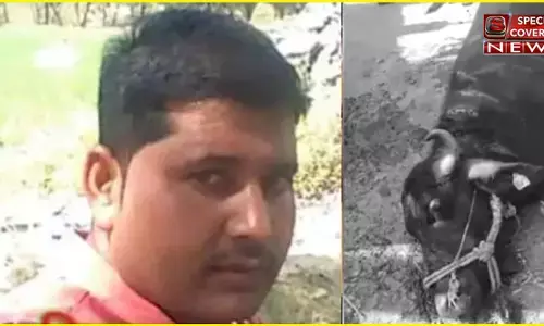 मध्यप्रदेश में भैंसे ने ली मालिक की जान, ग्रामीणों ने भैंसे को पांच गोलियां मारीं हुई मौत मध्यप्रदेश में भैंसे ने ली मालिक की जान, ग्रामीणों ने भैंसे को पांच गोलियां मारीं हुई मौत