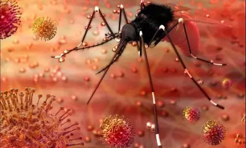 Zika Virus: कानपुर में जीका वायरस का कहर, 6 और नए मामले सामने आने के बाद दहशत में लोग, अलर्ट जारी Zika Virus: कानपुर में जीका वायरस का कहर, 6 और नए मामले सामने आने के बाद दहशत में लोग, अलर्ट जारी