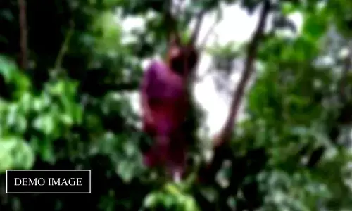 रेप :UP के अमरोहा में हुआ रेप, अखिलेश बोले, यूपी में सरकार ही फरार रेप :UP के अमरोहा में हुआ रेप, अखिलेश बोले, यूपी में सरकार ही फरार