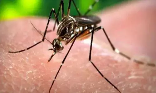 Zika Virus in Kanpur: यूपी के कानपुर में जीका वायरस के 30 और नए मामले, दहशत फैली Zika Virus in Kanpur: यूपी के कानपुर में जीका वायरस के 30 और नए मामले, दहशत फैली