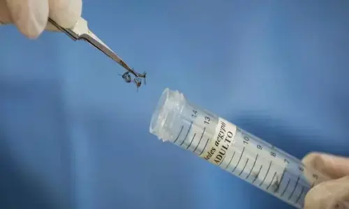 कानपुर में जीका वायरस का कहर, जाने क्या है जीका वायरस के लक्षण कानपुर में जीका वायरस का कहर, जाने क्या है जीका वायरस के लक्षण