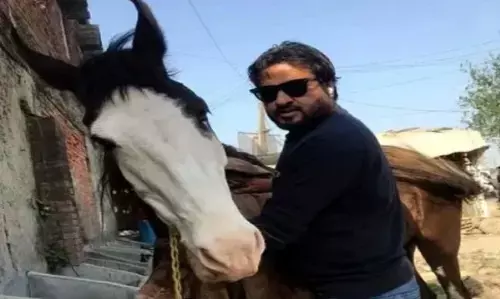 कांग्रेस नेता की घोड़ी खोज रही रामपुर पुलिस, जानिए पूरा मामला कांग्रेस नेता की घोड़ी खोज रही रामपुर पुलिस, जानिए पूरा मामला