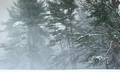 इधर ला नीना बर्पायेगा सर्द कहर, उधर पराली घोलेगी हवा में ज़हर इधर ला नीना बर्पायेगा सर्द कहर, उधर पराली घोलेगी हवा में ज़हर