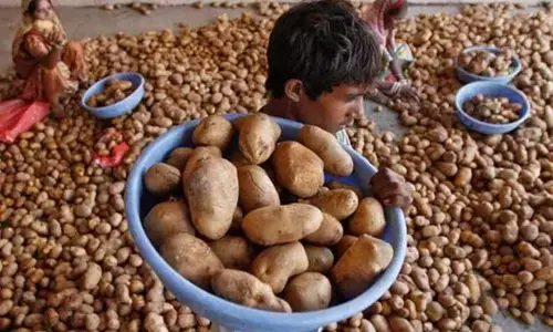 Lucknow News : अस्पताल में इलाज के साथ आलू खरीदने के लिए किया जाता था मजबूर, जानिए पूरा मामला Lucknow News : अस्पताल में इलाज के साथ आलू खरीदने के लिए किया जाता था मजबूर, जानिए पूरा मामला