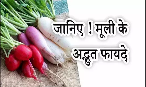 सर्दियों में मूली खाने के ये जबरदस्त फायदे जानकर चौंक जाएंगे, दिल की बीमारियां दूर- बीपी भी होगा कंट्रोल सर्दियों में मूली खाने के ये जबरदस्त फायदे जानकर चौंक जाएंगे, दिल की बीमारियां दूर- बीपी भी होगा कंट्रोल