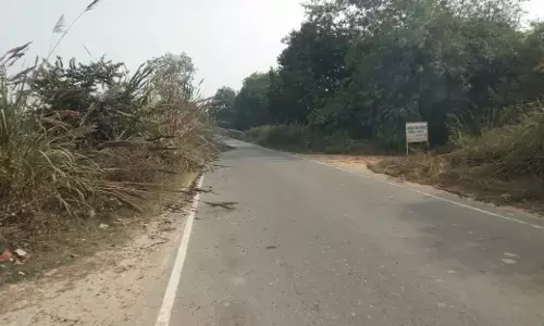 सड़क के दोनों तरफ उगे खरपतवार दे रहे दुर्घटना को दावत सड़क के दोनों तरफ उगे खरपतवार दे रहे दुर्घटना को दावत