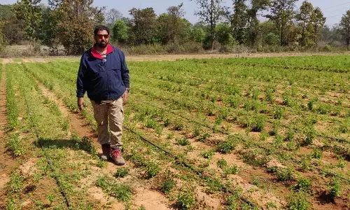 किसान नेता डॉ राजाराम त्रिपाठी का कल राजधानी में होगा नागरिक अभिनंदन और सम्मान, कोंडागांव से ही हुआ था इस किसान आंदोलन का आगाज किसान नेता डॉ राजाराम त्रिपाठी का कल राजधानी में होगा नागरिक अभिनंदन और सम्मान, कोंडागांव से ही हुआ था इस किसान आंदोलन का आगाज
