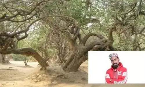 वृंदावन के निधिवन का आधी रात को वीडियो बनाकर सोशल मीडिया पर शेयर करने वाला YouTuber गिरफ्तार