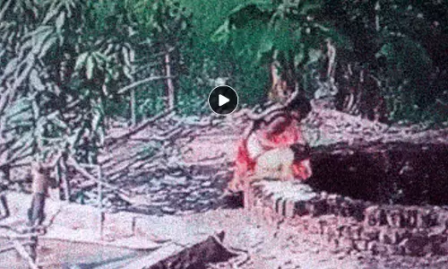 2 बच्चों को कुएं में फेंककर मां भी कूदी, पहले हाथों से पानी पिलाया, फिर एक-एक कर दोनों को खुद ही नीचे फेंका, तीनों की मौत 2 बच्चों को कुएं में फेंककर मां भी कूदी, पहले हाथों से पानी पिलाया, फिर एक-एक कर दोनों को खुद ही नीचे फेंका, तीनों की मौत