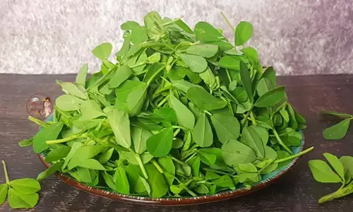 Health Tips : सर्दियों में अपने डाइट में जरूर शामिल करें मेथी का साग, होंगे कई फायदे