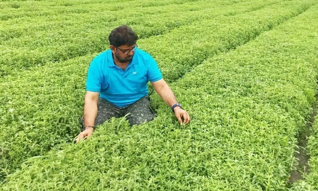 पंत प्रधान की तपस्या में कहां हुई चूक? पंत प्रधान की तपस्या में कहां हुई चूक?