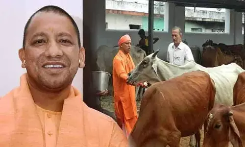 सीएम योगी ने छुट्टा जानवरों को लेकर जिलाधिकारियों को दिया यह आदेश सीएम योगी ने छुट्टा जानवरों को लेकर जिलाधिकारियों को दिया यह आदेश