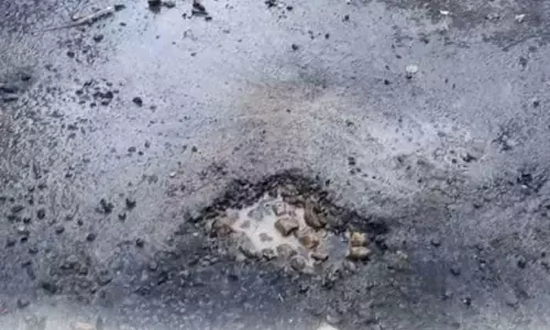 भ्रष्टाचार की सड़क, क्या नारियल के खिलाफ दर्ज होगा केस? भ्रष्टाचार की सड़क, क्या नारियल के खिलाफ दर्ज होगा केस?