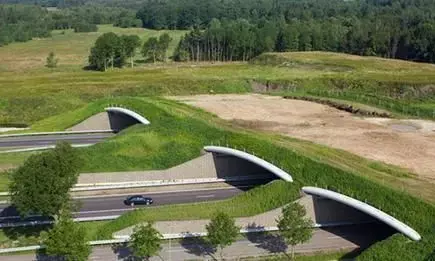 अब सिर्फ 150 मिनट में पूरा होगा Delhi से Dehradun का सफ़र, बनेगा ExpressWay 8 लेन का