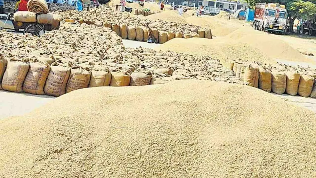 धान बिचौलियों के हाथ में न सौंपे- डीएम धान बिचौलियों के हाथ में न सौंपे- डीएम