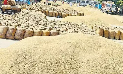 धान बिचौलियों के हाथ में न सौंपे- डीएम धान बिचौलियों के हाथ में न सौंपे- डीएम