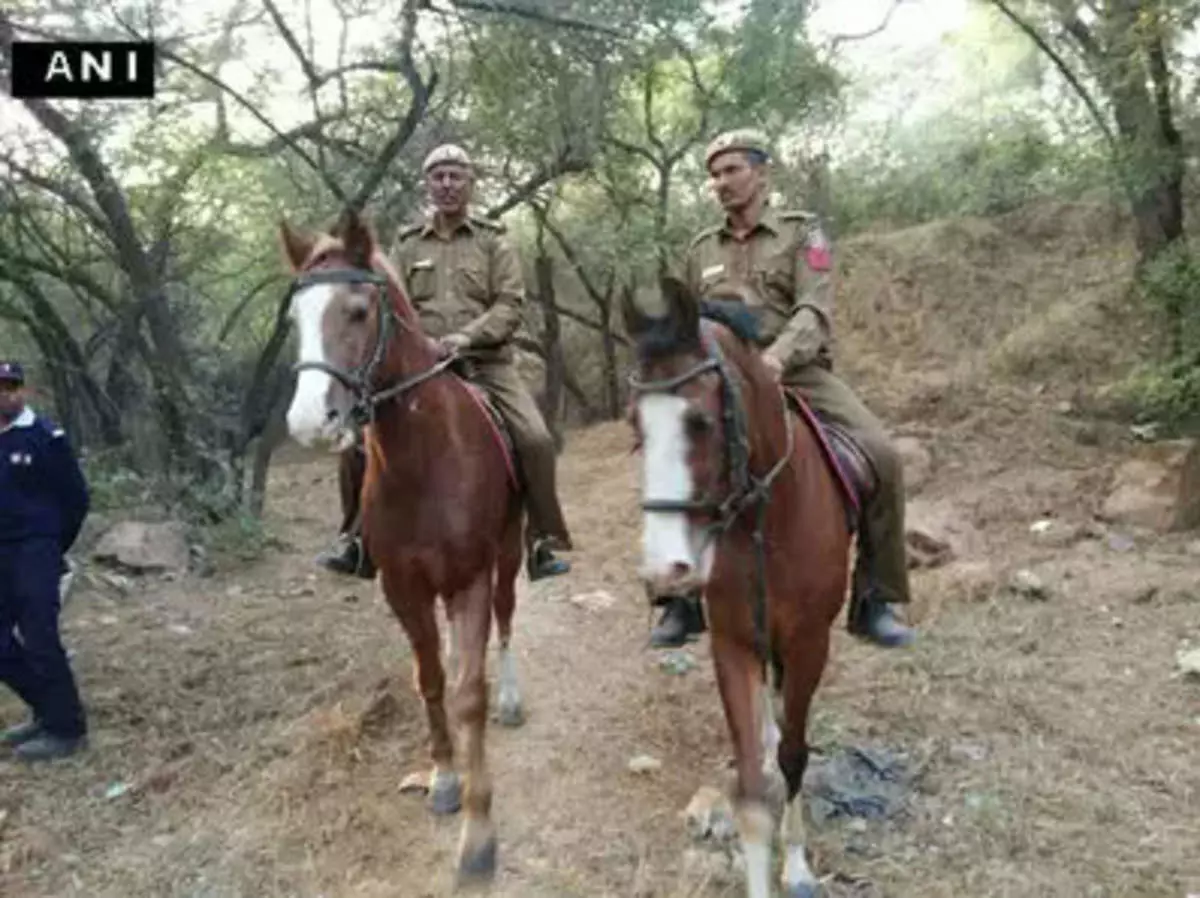 पुलिस और घोड़ा, एक अटूट दोस्ती!