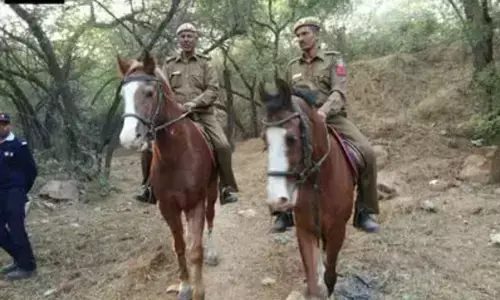 рдкреБрд▓рд┐рд╕ рдФрд░ рдШреЛрдбрд╝рд╛, рдПрдХ рдЕрдЯреВрдЯ рджреЛрд╕реНрддреА! рдкреБрд▓рд┐рд╕ рдФрд░ рдШреЛрдбрд╝рд╛, рдПрдХ рдЕрдЯреВрдЯ рджреЛрд╕реНрддреА!