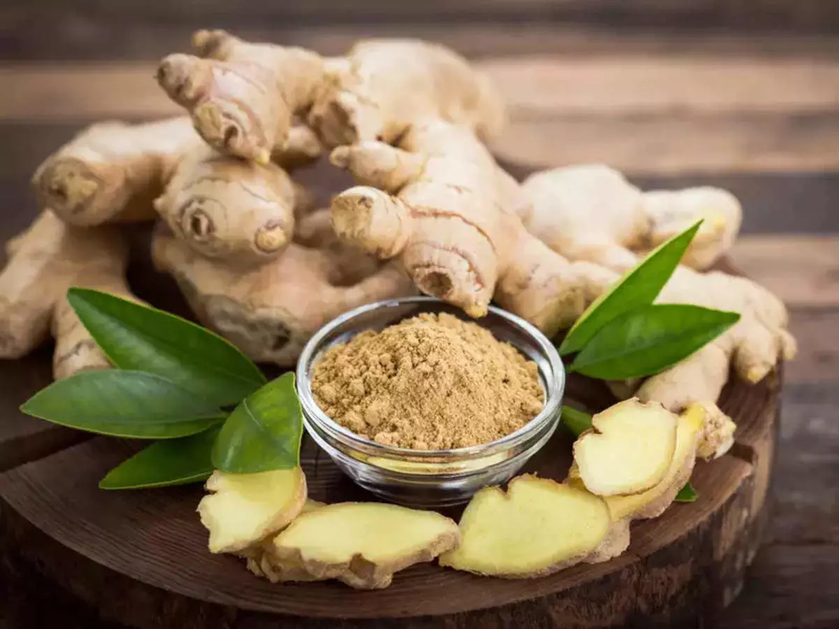 Ginger Benefits & Uses: सेहत के लिए क्यों अचूक माना जाता है अदरक? जानें इसके औषधीय गुण!
