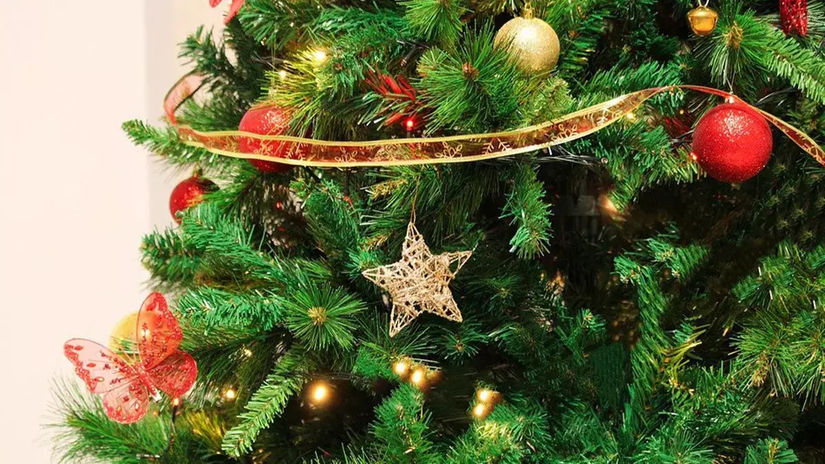 Christmas 2021 Gift Ideas: सीक्रेंट सैंटा क्लॉज बनकर अपनों को क्रिसमस पर दें ये खूबसूरत उपहार और इस पर्व को बनाएं यादगार Christmas 2021 Gift Ideas: सीक्रेंट सैंटा क्लॉज बनकर अपनों को क्रिसमस पर दें ये खूबसूरत उपहार और इस पर्व को बनाएं यादगार