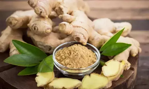 Ginger Benefits & Uses: सेहत के लिए क्यों अचूक माना जाता है अदरक? जानें इसके औषधीय गुण!