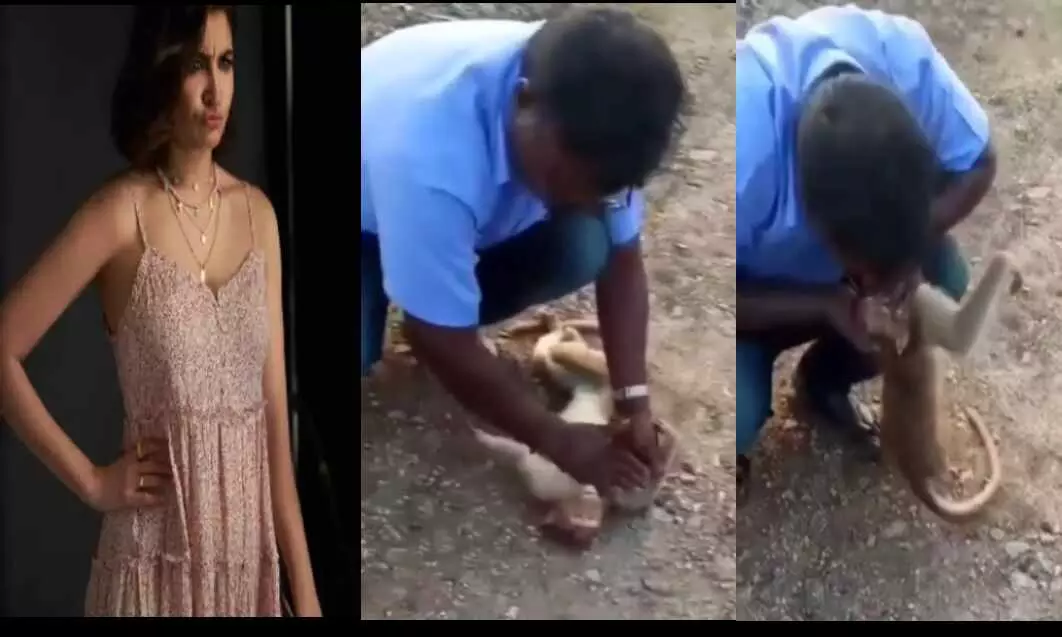 इस शख्स ने अपनी सांस देकर बचाई बंदर की जान, अनुष्का शर्मा को बंदर का ये वीडियो देख आ गया रोना