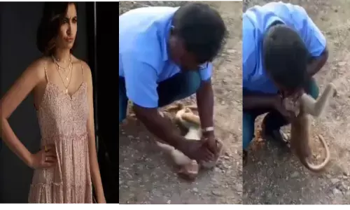 इस शख्स ने अपनी सांस देकर बचाई बंदर की जान, अनुष्का शर्मा को बंदर का ये वीडियो देख आ गया रोना इस शख्स ने अपनी सांस देकर बचाई बंदर की जान, अनुष्का शर्मा को बंदर का ये वीडियो देख आ गया रोना