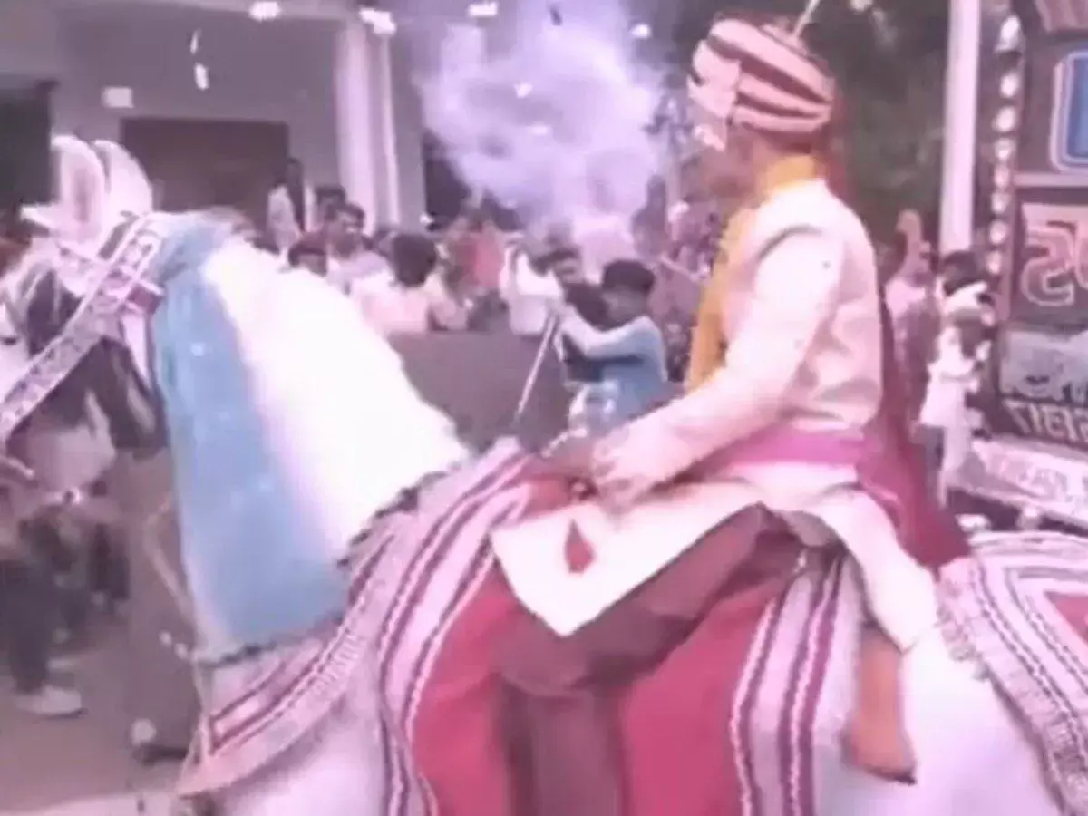 Viral Video: रस्म के दौरान बिदक गई घोड़ी, फिर दूल्हे को लेकर हो गई फरार