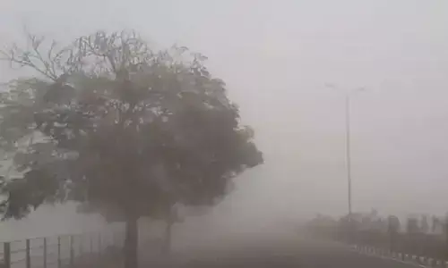 दिल्ली में शीत लहर के कारण तापमान में 8 डिग्री से ज्यादा गिरा दिल्ली में शीत लहर के कारण तापमान में 8 डिग्री से ज्यादा गिरा