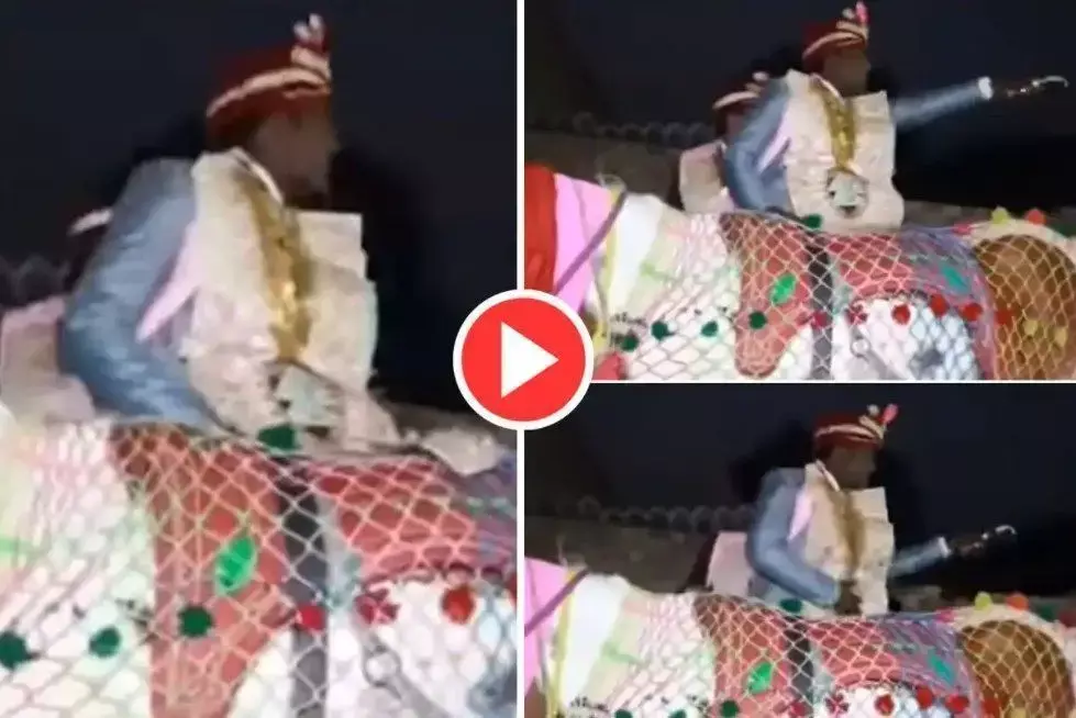 घोड़ी पर बैठने से पहले दूल्हे की सरेआम फट गई पैंट, फिर जो हुआ उसे देखकर हंसी नहीं रोक पाएंगे आप