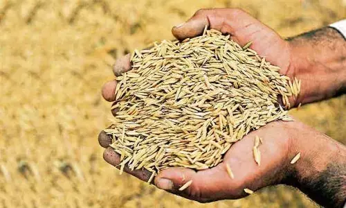 धान अधिप्राप्ति को लेकर डीएम ने दिए आवश्यक निर्देश धान अधिप्राप्ति को लेकर डीएम ने दिए आवश्यक निर्देश