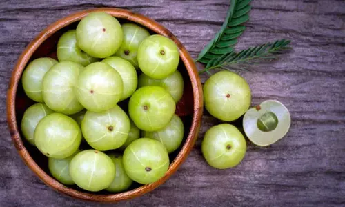 Amla Health & Beauty Benefits 2021: सर्दी में आंवला सेहत के साथ सौंदर्य की भी करता है रक्षा! जाने इस खट्टे-कसैले फल में हैं कैसे-कैसे गुण?