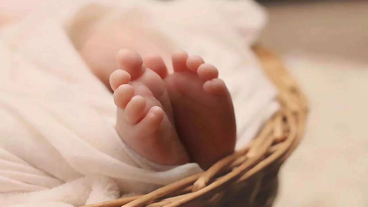 महिला ने 3 महीने में दिया 2 बच्चों को जन्म, कैसे हुआ ये गजब कारनामा! महिला ने 3 महीने में दिया 2 बच्चों को जन्म, कैसे हुआ ये गजब कारनामा!