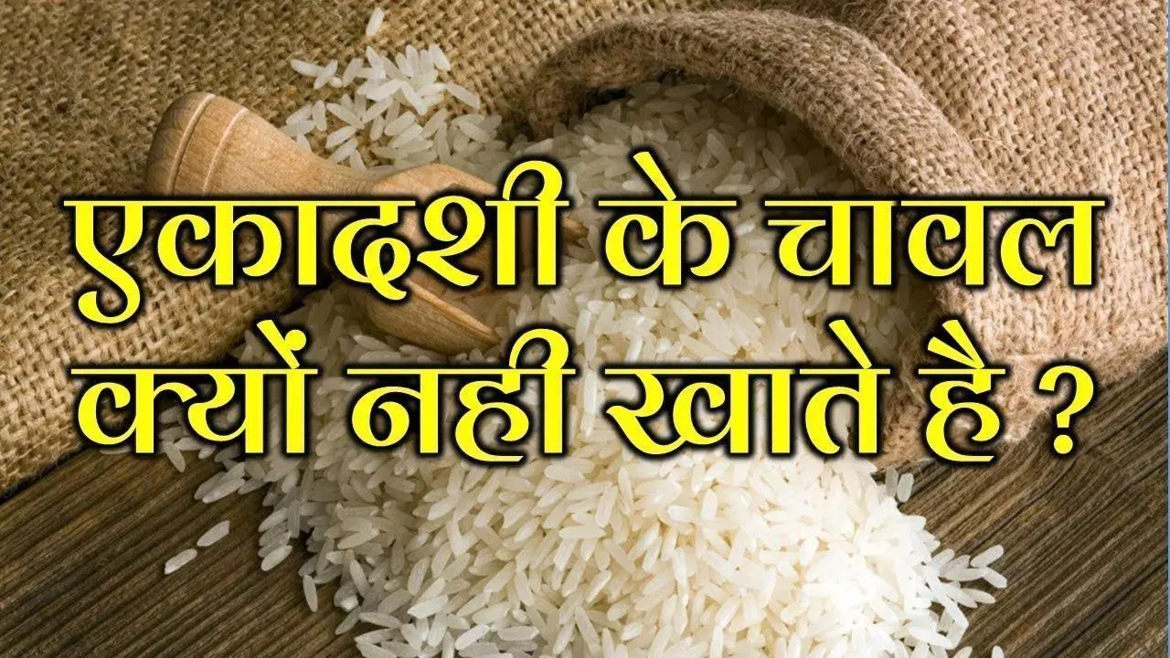 एकादशी के दिन चावल क्यों नही खातें है?