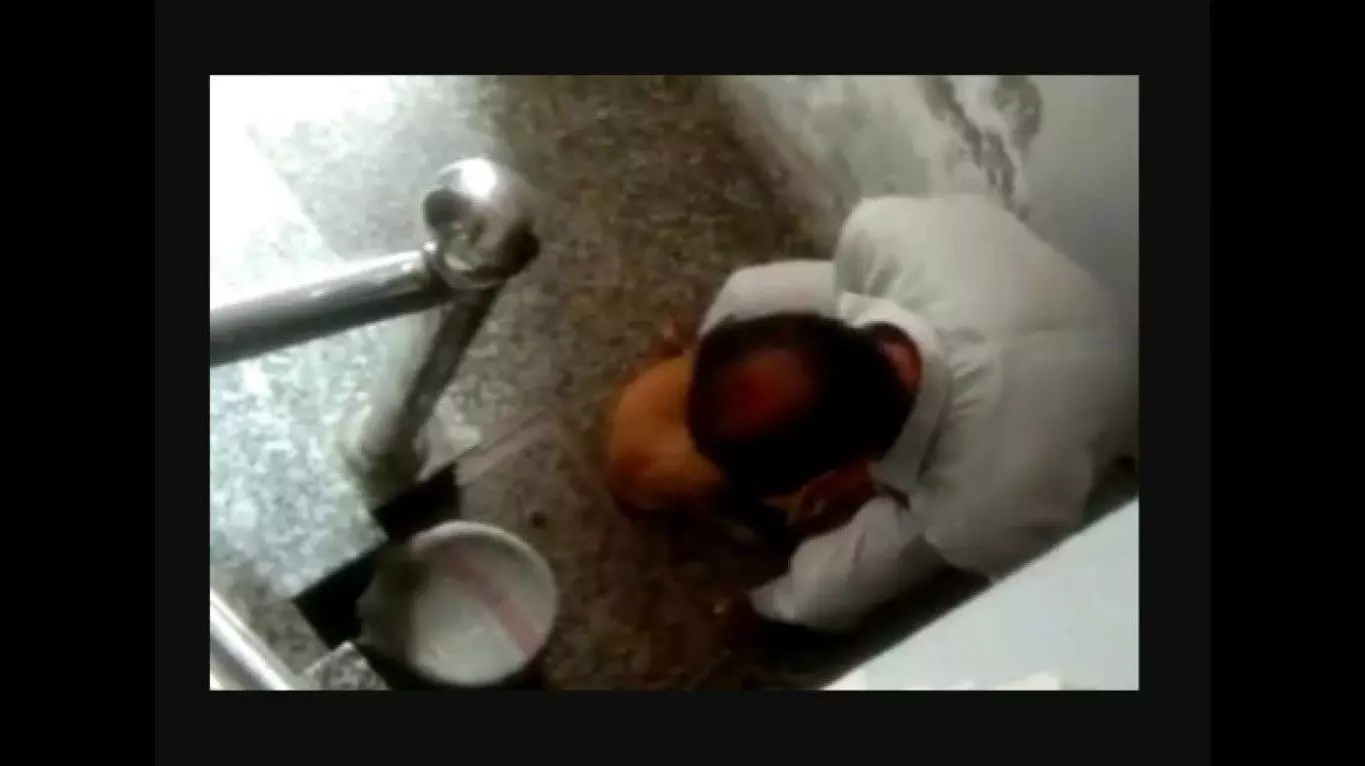 UP: ससुर कर रहा था डॉगी के साथ गंदी हरकत, बहू ने वीडियो बनाकर दुनिया के सामने