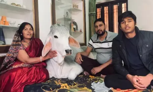 यहां मालिक के साथ बैडरूम में आराम फरमाते हैं गाय-बछड़े, बच्चों की तरह किया जाता लाड-प्यार