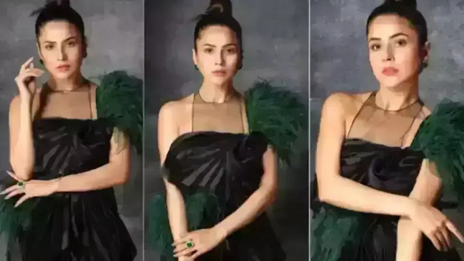 शहनाज गिल ने कराया ग्लैमरस फोटोशूट, इंस्टाग्राम पर बिखेरा अपना जलवा शहनाज गिल ने कराया ग्लैमरस फोटोशूट, इंस्टाग्राम पर बिखेरा अपना जलवा