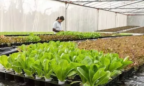 प्राकृतिक खेती कॉरिडोर के नाम पर गंगा नदी और गंगा बेसिन खेती की जमीन पर कॉरपोरेट कब्जे की साजिश