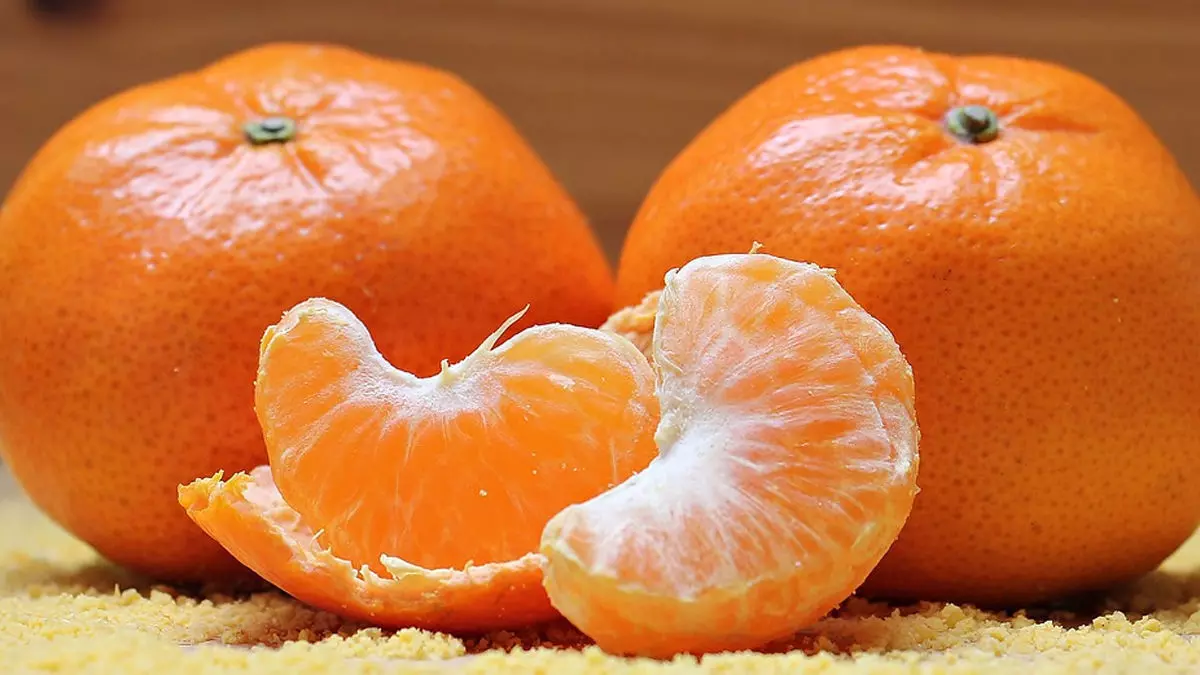 Orange Benefits in Winter 2022: सर्दी में संतरे के फायदे! जानें किन-किन बीमारियों से दिलाता है मुक्ति Orange Benefits in Winter 2022: सर्दी में संतरे के फायदे! जानें किन-किन बीमारियों से दिलाता है मुक्ति