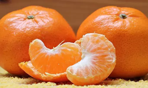 Orange Benefits in Winter 2022: सर्दी में संतरे के फायदे! जानें किन-किन बीमारियों से दिलाता है मुक्ति Orange Benefits in Winter 2022: सर्दी में संतरे के फायदे! जानें किन-किन बीमारियों से दिलाता है मुक्ति