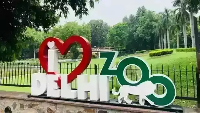 दो महीने से बंद चिड़िया घर फिर से खुला, रातों-रात बिकी सारी टिकट दो महीने से बंद चिड़िया घर फिर से खुला, रातों-रात बिकी सारी टिकट