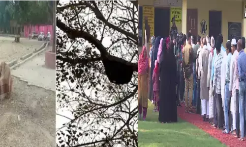 चंदौली मे मतदान केंद्र पर मधुमक्खियों का हमला, मची भगदड़, 1 बजे तक पड़े 35.51 फीसदी वोट चंदौली मे मतदान केंद्र पर मधुमक्खियों का हमला, मची भगदड़, 1 बजे तक पड़े 35.51 फीसदी वोट