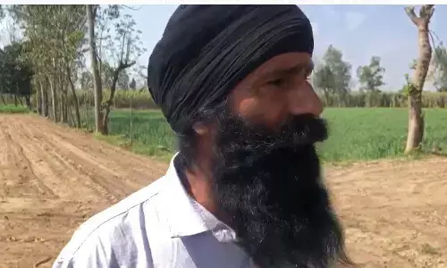 पेड़ पर चढ़े तेंदुए का वीडियो वायरल, दस्तक से ग्रामीणों में दहशत पेड़ पर चढ़े तेंदुए का वीडियो वायरल, दस्तक से ग्रामीणों में दहशत