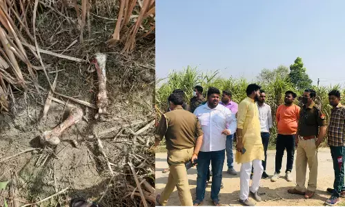 गोकशी की सूचना पर झिंझाना दौड़े सीओ और बजरंग दल