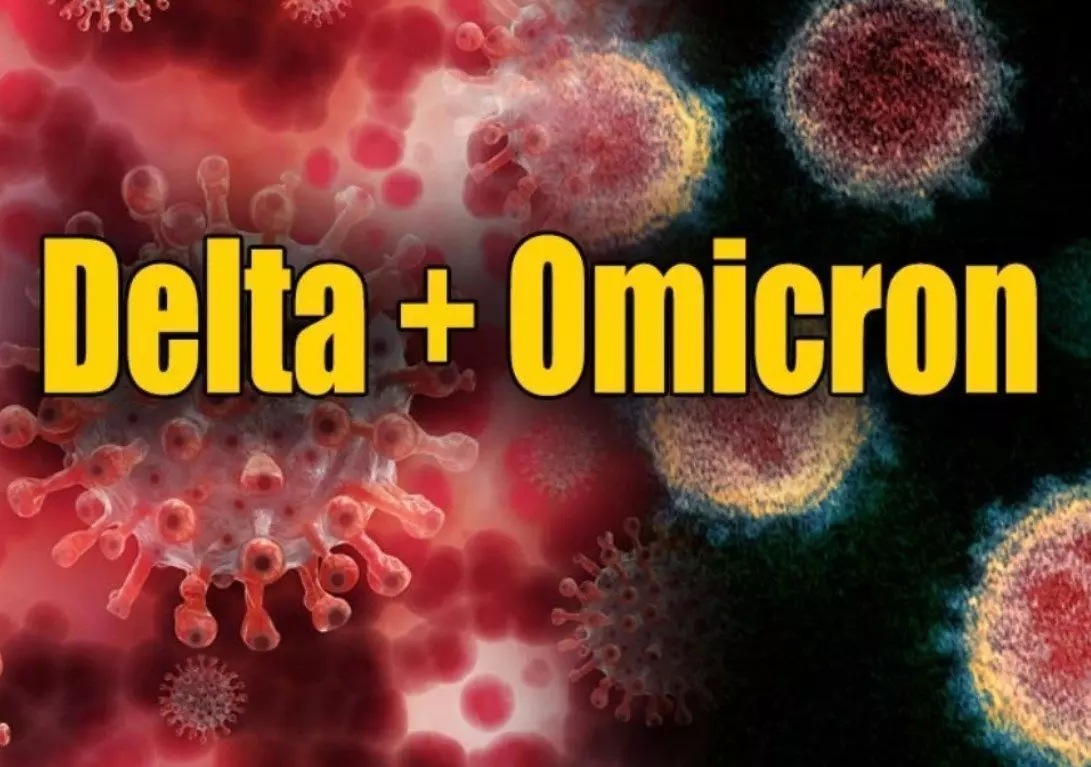 Delta-Omicron India: Delta+Omicron मिलकर चौथी लहर में मचा सकते हैं तबाही, जानिए कैसे? Delta-Omicron India: Delta+Omicron मिलकर चौथी लहर में मचा सकते हैं तबाही, जानिए कैसे?