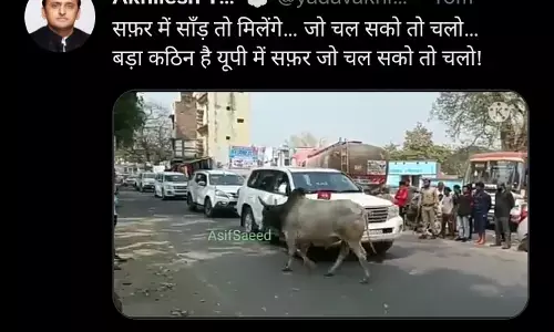 अखिलेश यादव को सीतापुर में गाड़ी के सामने एक सांड मिला..जानिए अखिलेश ने क्या कहा अखिलेश यादव को सीतापुर में गाड़ी के सामने एक सांड मिला..जानिए अखिलेश ने क्या कहा