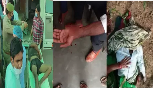 युवक ने फावड़ा से कई लोगों को किया अधमरा, तीन की मौत, आरोपी गिरफ्तार युवक ने फावड़ा से कई लोगों को किया अधमरा, तीन की मौत, आरोपी गिरफ्तार