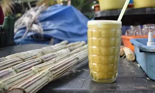 Sugarcane Juice : गन्ने का जूस इस समय पीएंगे तो मिलेंगे ये जबर्दस्त फायदे, बस रखें ये ध्यान Sugarcane Juice : गन्ने का जूस इस समय पीएंगे तो मिलेंगे ये जबर्दस्त फायदे, बस रखें ये ध्यान